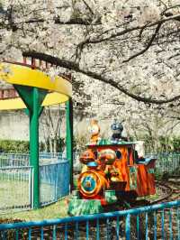 Blossoms and Beasts: Springtime Splendor at Kobe Oji Zoo