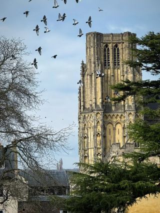 🏰 A Day Trip to England’s Smallest City – Wells from Bristol