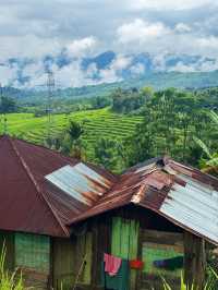 Exploring Flores’ Majestic Rice Fields and the Spider Web Fields