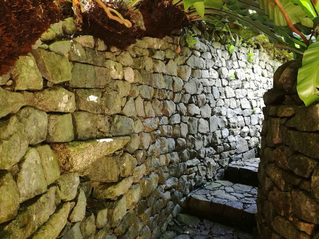 🌿 Spice Up Your Life: A Wild & Whimsical Day at Tropical Spice Garden, Penang!  