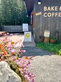 【三重】Q&SHILOHで味わう自然派スイーツとコーヒー