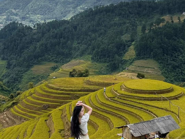 MÙ CANG CHẢI | MÙA VÀNG TRÊN NÓC NHÀ MÂY