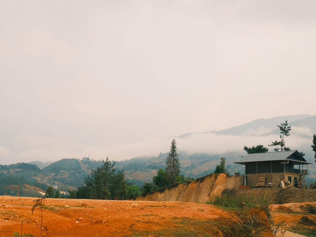 MÙ CANG CHẢI | MÙA VÀNG TRÊN NÓC NHÀ MÂY