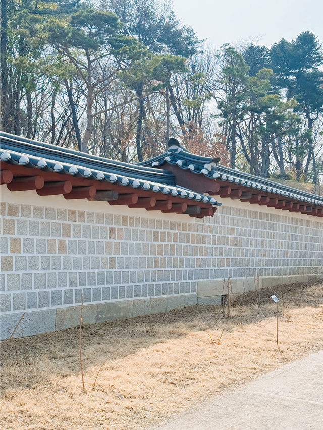 덕수궁 나들이~
