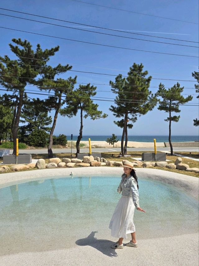 울진 동해바다뷰가 멋진 낭만 감성 카라반🩵