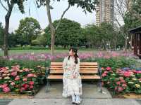 台北大安森林公園の繡球花仙境｜免費打卡＋偶遇松鼠小驚喜🐿️