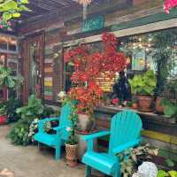 ชบา ชไบ คาเฟ่