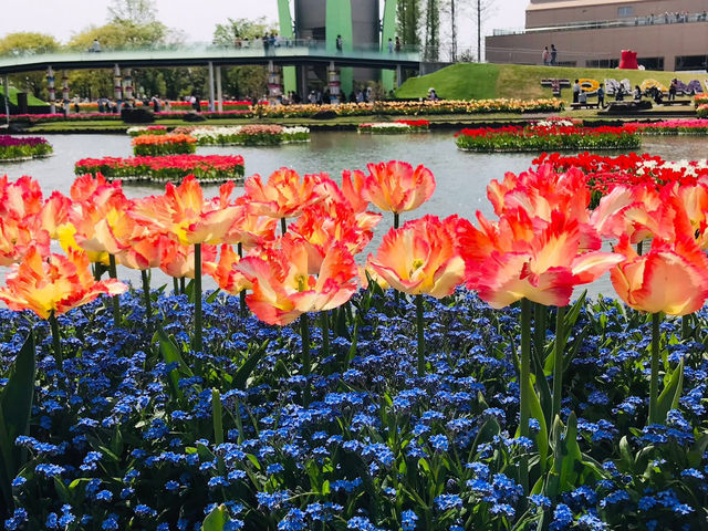 Tonami Tulip Park
