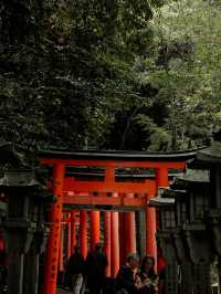 Fushimi Inari Taisha, Kyoto, Japan 🇯🇵 