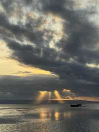 Dancing Trees and Golden Seas: Walakiri’s Hidden Magic