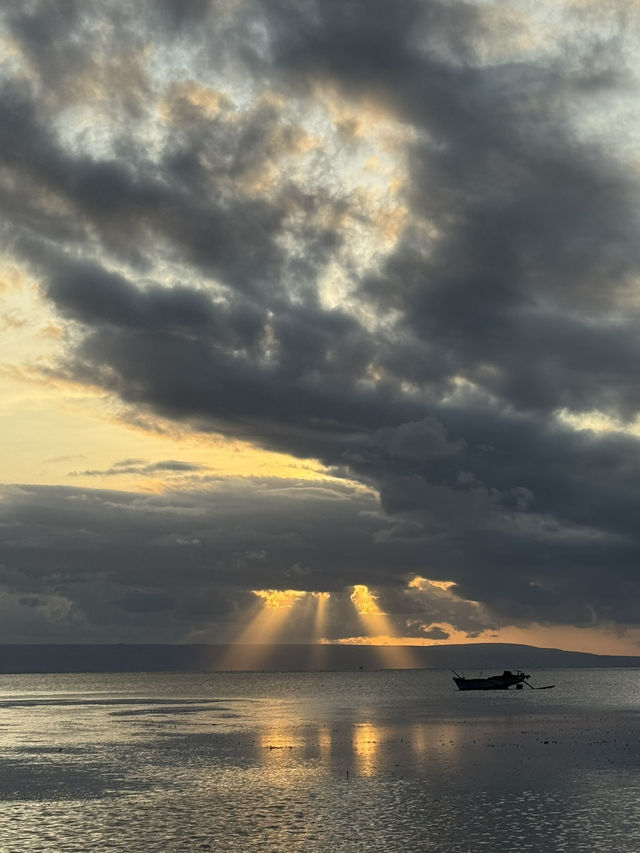 Dancing Trees and Golden Seas: Walakiri’s Hidden Magic