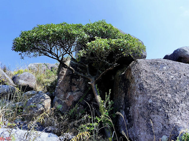 大東山 (Sunset Peak)