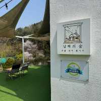 🩷🏞️남해카페추천 싱그러움 가득 남해 독일마을 카페 남해의숲
