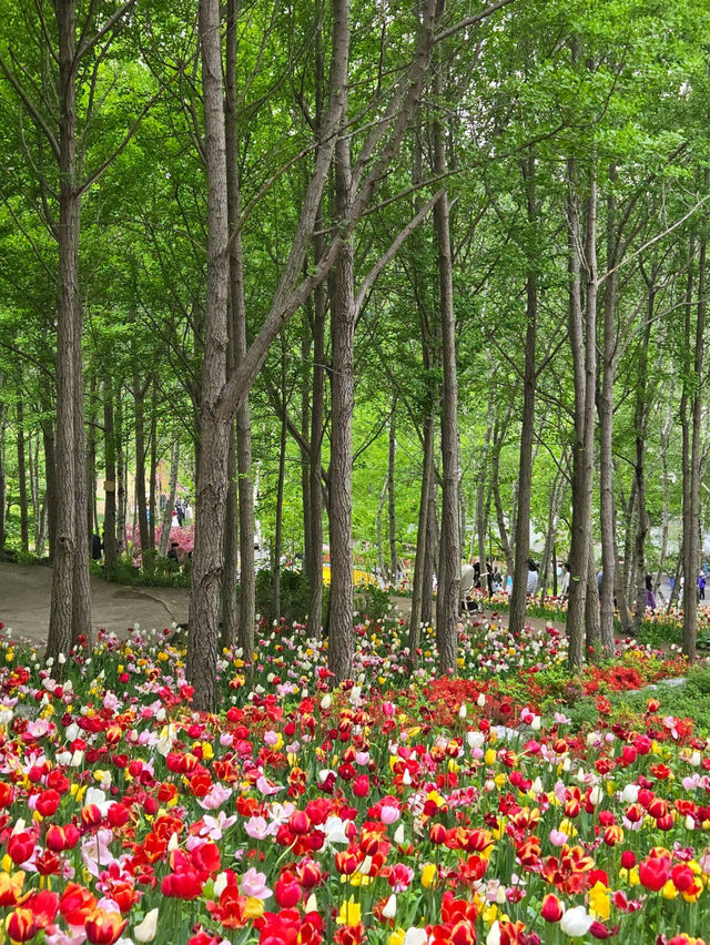 🌸가족 당일치기 여행으로 추천하는🌼피나클랜드 수목원🍃
