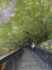 A Amazing Walk Through the Steam in Taipei