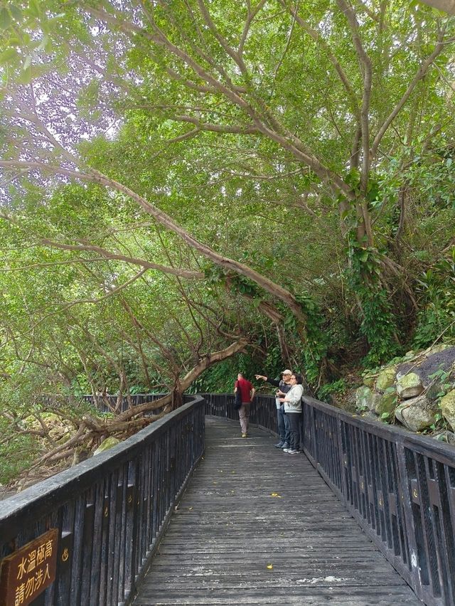 A Amazing Walk Through the Steam in Taipei