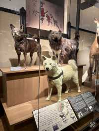 Weekend Wandering in Ueno – Culture, Parks & Panda Treats