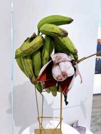 A Celebration of Creativity and Expression