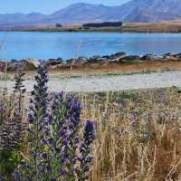 Heading to Tekapo: A Stellar Escape