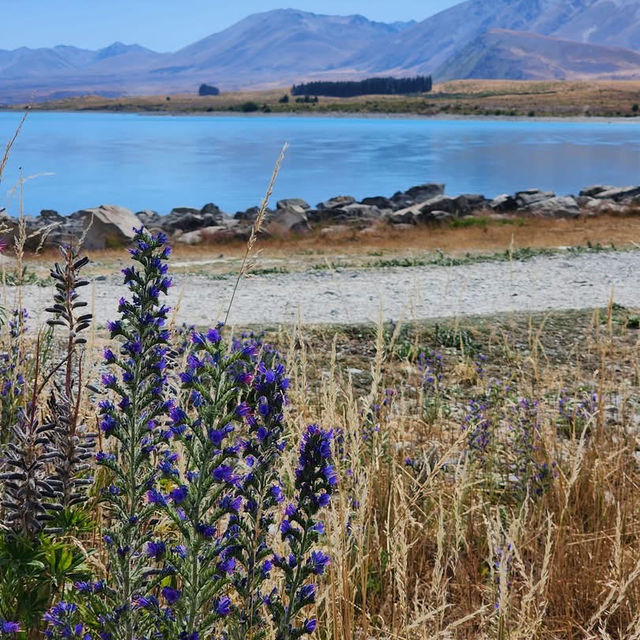 Heading to Tekapo: A Stellar Escape