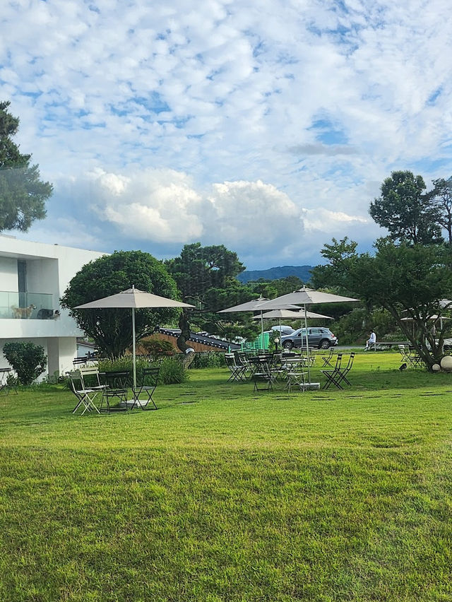 The Largest Cafe in Haman