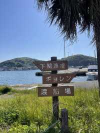 釜山街鯨魚料理 & 行程指南