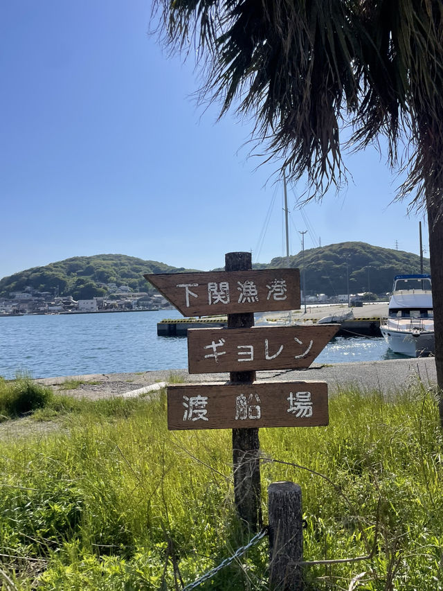 釜山街鯨魚料理 & 行程指南