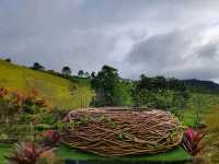 Stratus resort khao kho เขาค้อ เพชรบูรณ์