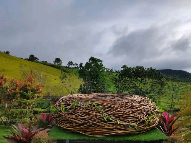 Stratus resort khao kho เขาค้อ เพชรบูรณ์