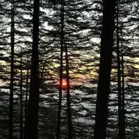 2 Days in Shimla