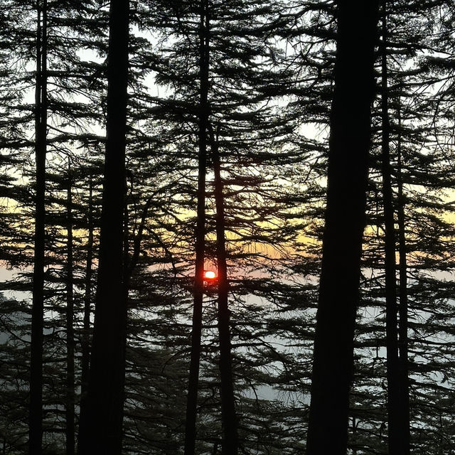 2 Days in Shimla