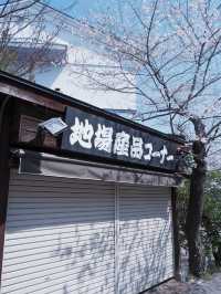 從大阪到仙台賞櫻最快交通：日本國內線飛機攻略