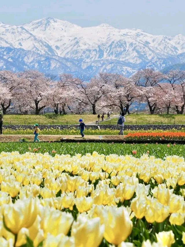 Toyama – Alpine Views and Coastal Calm on the Sea of Japan