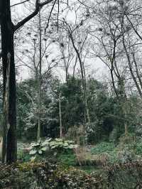 Huanhua Stream Park