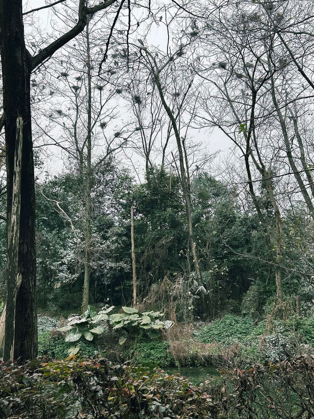 Huanhua Stream Park