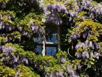 Chirk Castle: Where Medieval Might Meets Timeless Beauty