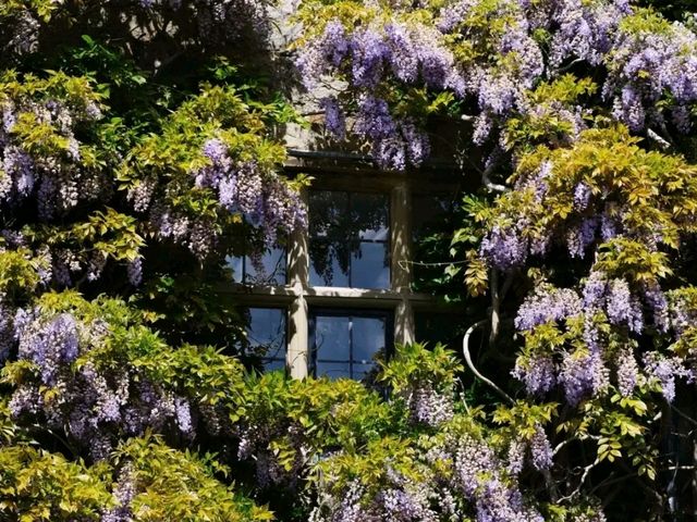 Chirk Castle: Where Medieval Might Meets Timeless Beauty