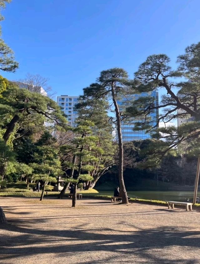 สวนโคอิชิกาวะโคราคุเอน เก่าแก่ที่สุดในโตเกียว