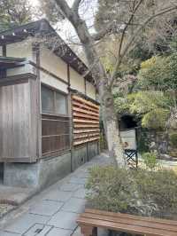 Hasedera Temple ✨ วัดเก่าแก่ในเมือง Kamakura