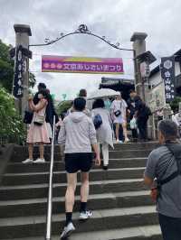 文京紫陽花祭り！