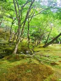 Tranquility in Kyoto: Discovering Ginkaku-ji (The Silver Pavilion)