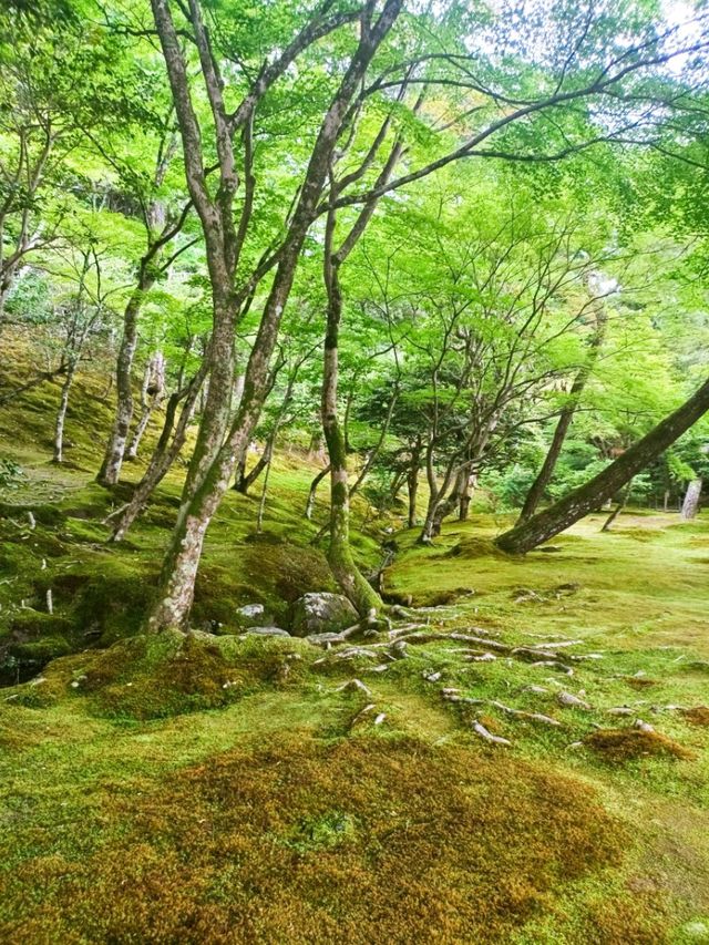 Tranquility in Kyoto: Discovering Ginkaku-ji (The Silver Pavilion)