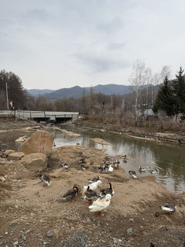 เที่ยว Hengdaohezi เมืองโรแมนติกฉบับรัสเซีย