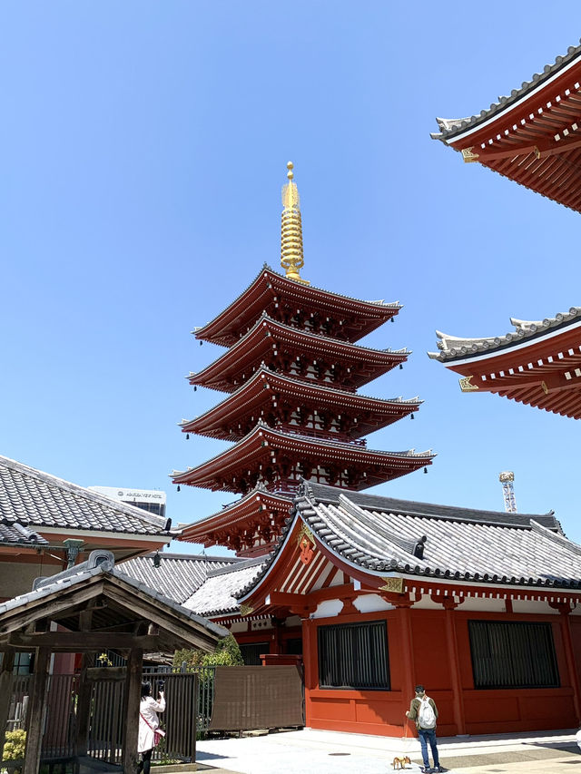 東京　東京観光　東京観光攻略はコレだ！