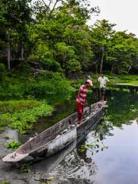 Premium accommodation in Chitwan area