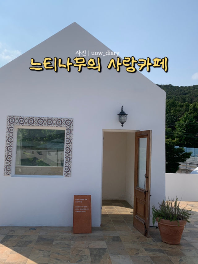 지금은 라벤더시즌💜✨ 인생샷 남겨봐!