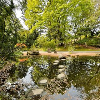 Botaniska Trädgården: A Blooming Oasis in Gothenburg