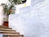 A Day of Art and Nature at Pinto Art Museum