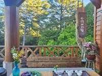行！走入超完美芬多精仙境～阿里山森林公園
