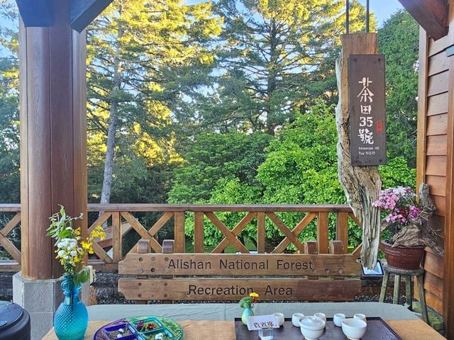 行！走入超完美芬多精仙境～阿里山森林公園
